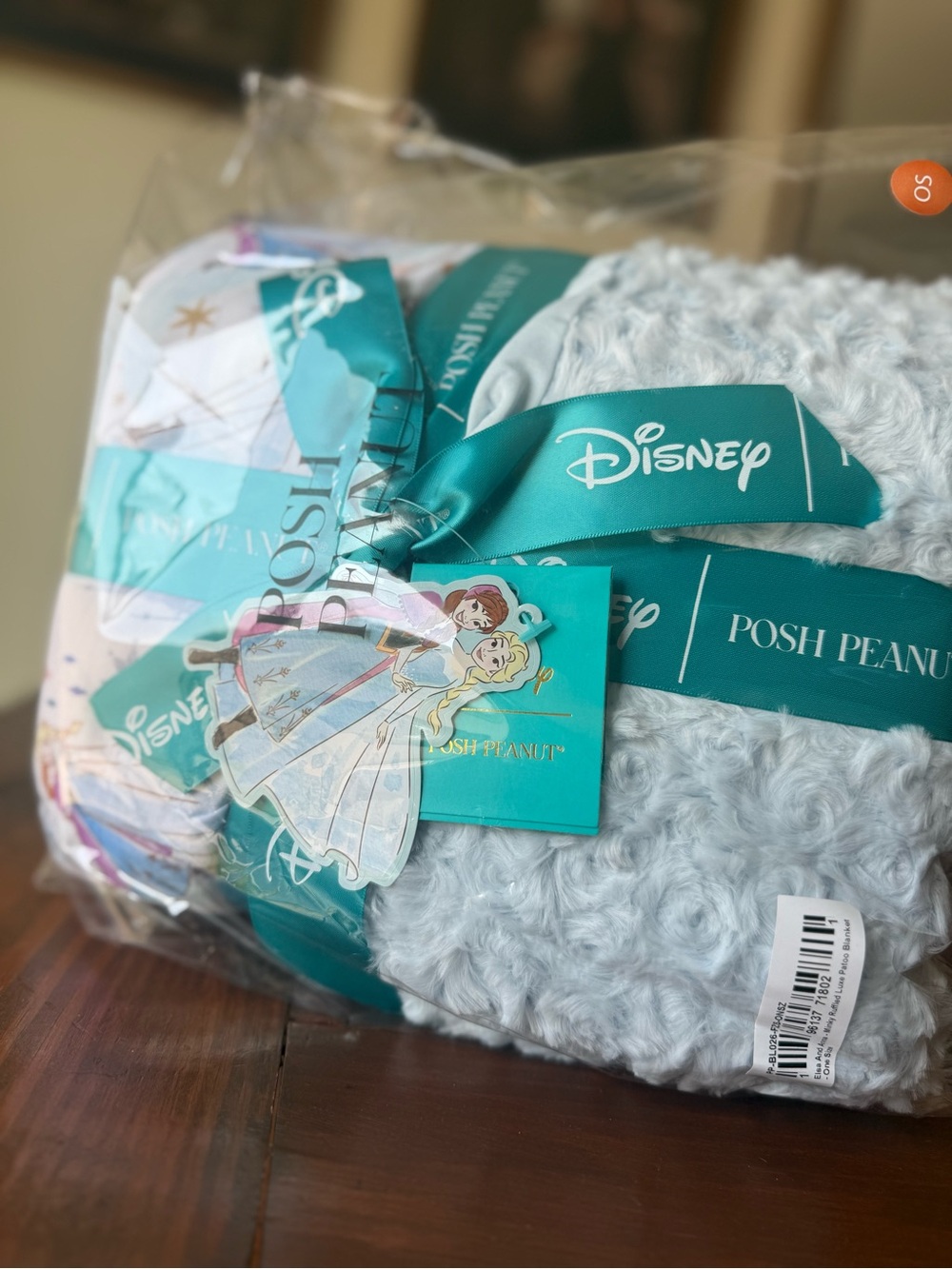 Disney Elsa & Anna Minky
Ruffled Luxe Patoo® Blanket
